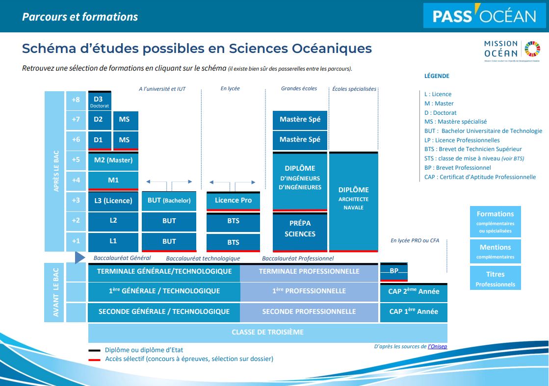 schéma d'études